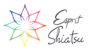 logo esprit shiatsu en long étoile à 8 branches colorées