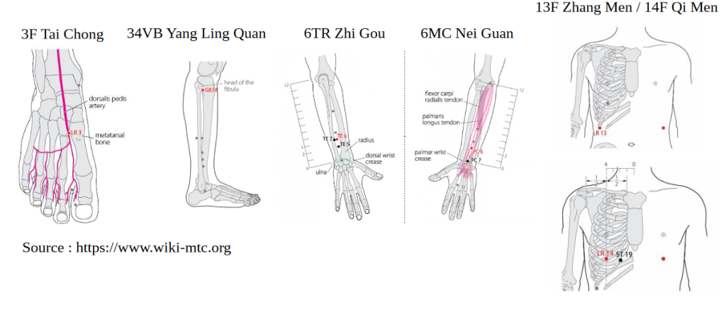 Présentation des points du Foie pour le printemps